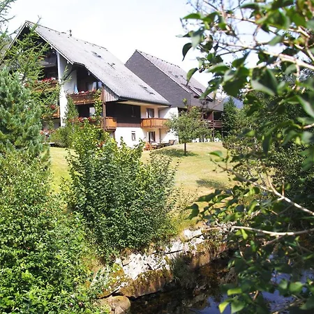 B5 Albmatte-fewo Sauna, Hallenbad Aussenbecken Massagen Nebenan *