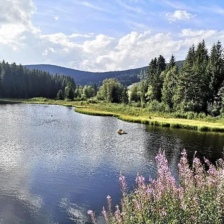 B5 Albmatte-fewo Sauna, Hallenbad Aussenbecken Massagen Nebenan Apartamento Menzenschwand-Hinterdorf