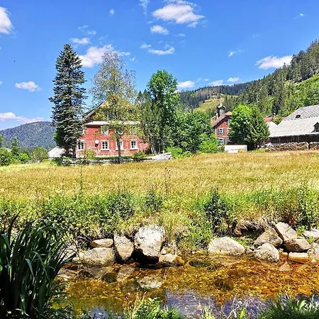B5 Albmatte-fewo Sauna, Hallenbad Aussenbecken Massagen Nebenan * Menzenschwand-Hinterdorf