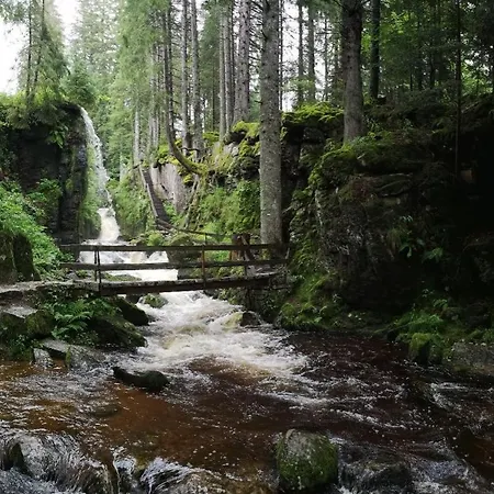 B5 Albmatte-fewo Sauna, Hallenbad Aussenbecken Massagen Nebenan