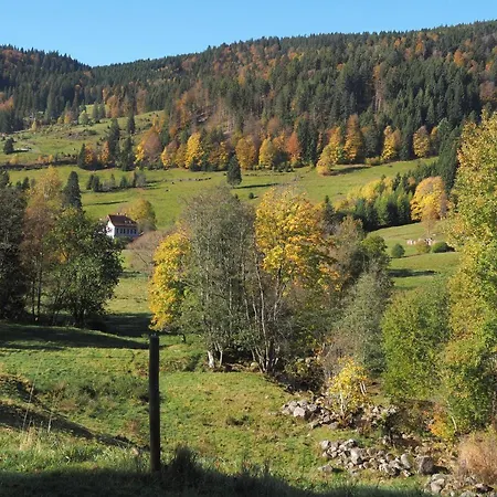 B5 Albmatte-fewo Sauna, Hallenbad Aussenbecken Massagen Nebenan Менценшванд