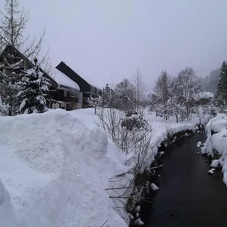 B5 Albmatte-fewo Sauna, Hallenbad Aussenbecken Massagen Nebenan