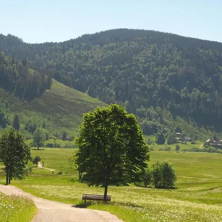 B5 Albmatte-fewo Sauna, Hallenbad Aussenbecken Massagen Nebenan Menzenschwand-Hinterdorf