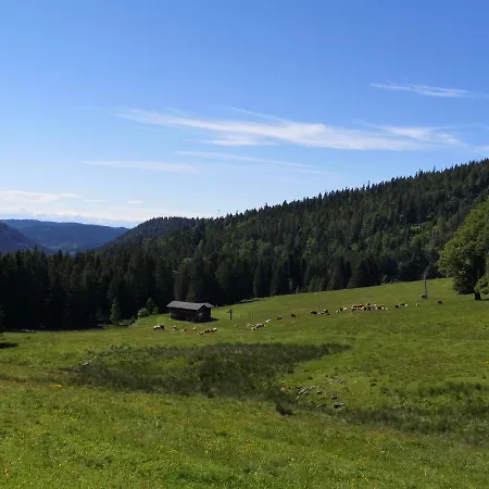 B5 Albmatte-fewo Sauna, Hallenbad Aussenbecken Massagen Nebenan Menzenschwand-Hinterdorf