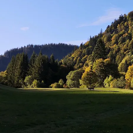 B5 Albmatte-fewo Sauna, Hallenbad Aussenbecken Massagen Nebenan Menzenschwand-Hinterdorf
