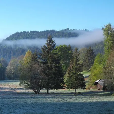 B5 Albmatte-fewo Sauna, Hallenbad Aussenbecken Massagen Nebenan Apartamento