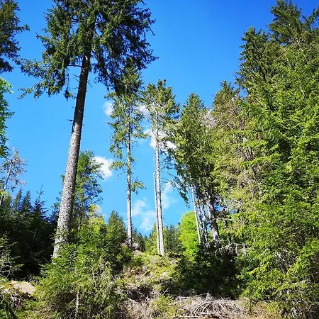 B5 Albmatte-fewo Sauna, Hallenbad Aussenbecken Massagen Nebenan Menzenschwand-Hinterdorf