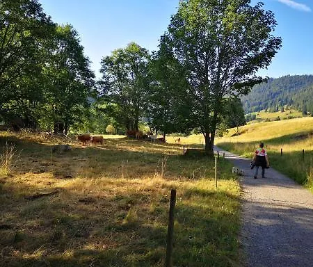 Апартаменты B5 Albmatte-fewo Sauna, Hallenbad Aussenbecken Massagen Nebenan Менценшванд