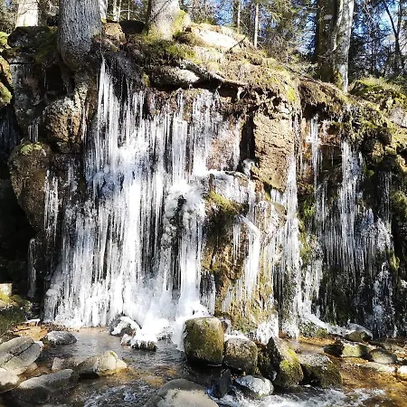 B5 Albmatte-fewo Sauna, Hallenbad Aussenbecken Massagen Nebenan * Menzenschwand-Hinterdorf