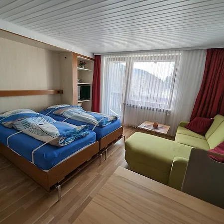 B5 Albmatte-fewo Sauna, Hallenbad Aussenbecken Massagen Nebenan Menzenschwand-Hinterdorf