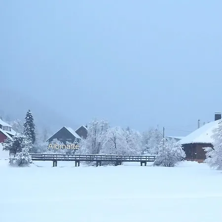 Apartamento B5 Albmatte-fewo Sauna, Hallenbad Aussenbecken Massagen Nebenan *