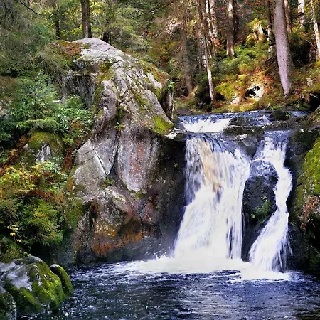 B5 Albmatte-fewo Sauna, Hallenbad Aussenbecken Massagen Nebenan