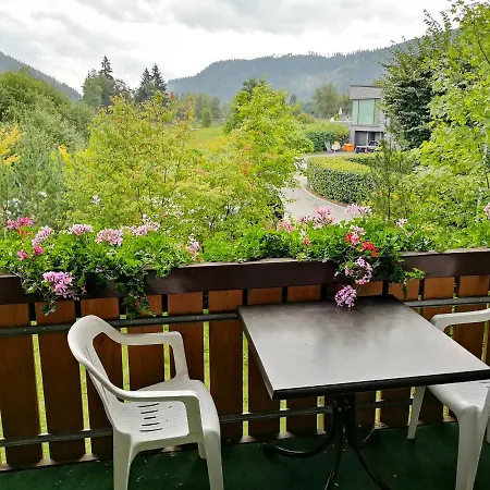 Апартаменты B5 Albmatte-fewo Sauna, Hallenbad Aussenbecken Massagen Nebenan Менценшванд