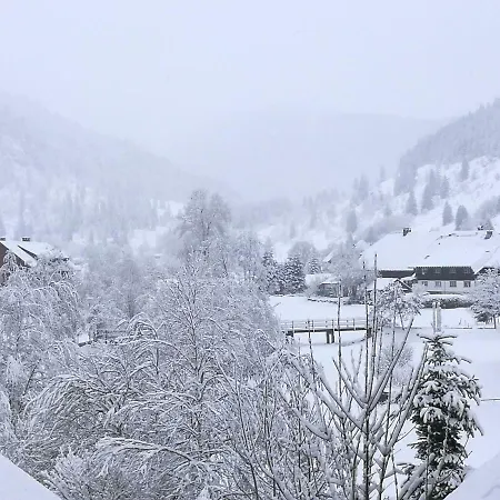 Apartamento B5 Albmatte-fewo Sauna, Hallenbad Aussenbecken Massagen Nebenan *