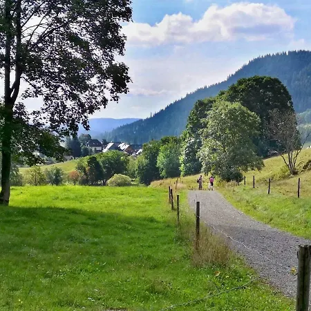 B5 Albmatte-fewo Sauna, Hallenbad Aussenbecken Massagen Nebenan * Menzenschwand-Hinterdorf