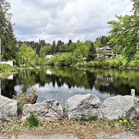 B5 Albmatte-fewo Sauna, Hallenbad Aussenbecken Massagen Nebenan * Menzenschwand-Hinterdorf