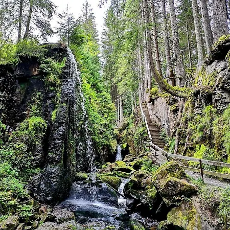 B5 Albmatte-fewo Sauna, Hallenbad Aussenbecken Massagen Nebenan * Menzenschwand-Hinterdorf