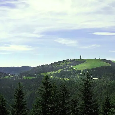 B5 Albmatte-fewo Sauna, Hallenbad Aussenbecken Massagen Nebenan * Menzenschwand-Hinterdorf