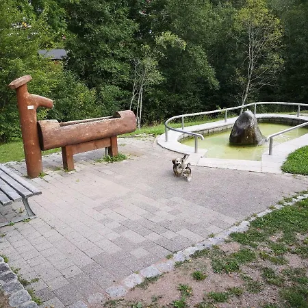 Apartamento B5 Albmatte-fewo Sauna, Hallenbad Aussenbecken Massagen Nebenan *