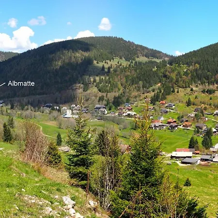 B5 Albmatte-fewo Sauna, Hallenbad Aussenbecken Massagen Nebenan Менценшванд