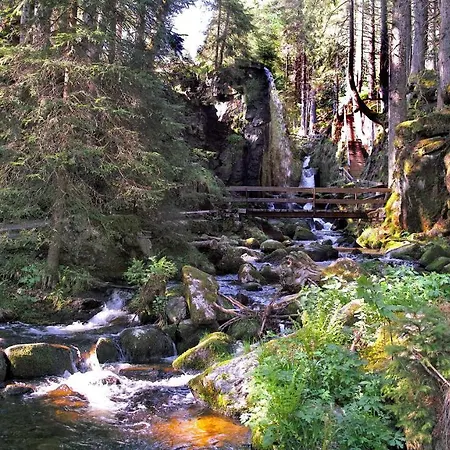 Апартаменты B5 Albmatte-fewo Sauna, Hallenbad Aussenbecken Massagen Nebenan Менценшванд